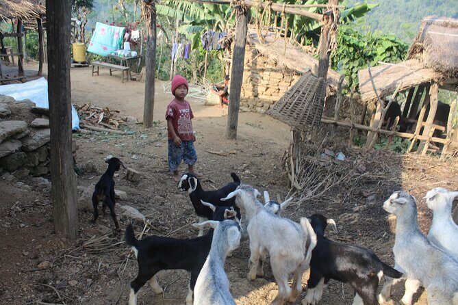 Bandipur to Ramkot full day with local guide full day - Practical Details and Tips
