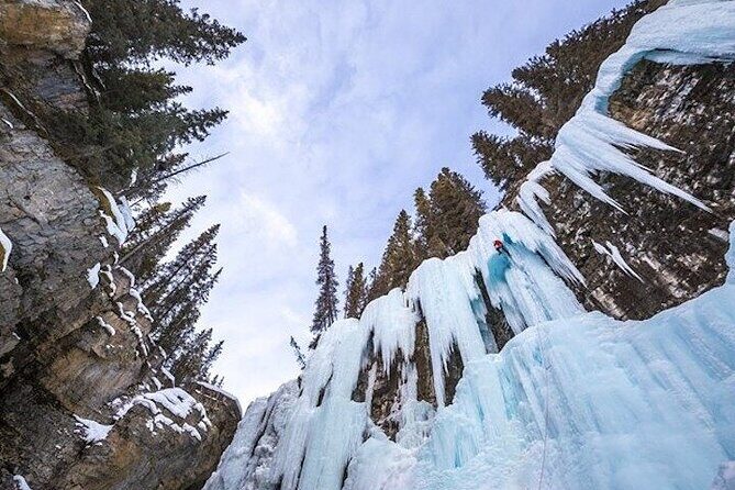 Banff Area & Johnston Canyon 1-Day Tour from Calgary or Banff - Final Notes