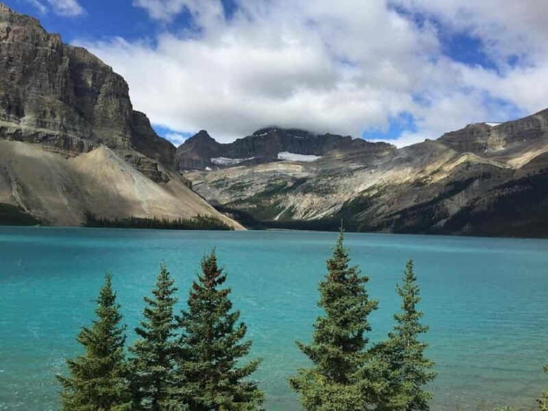 Banff/Calgary:Banff National Park&Johnston Canyon 1-Day Tour - An In-Depth Look at the Tour Experience