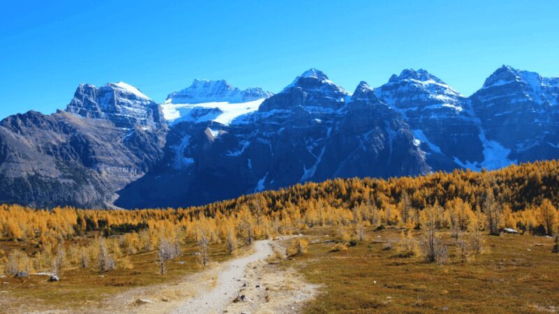 Banff/Canmore: Larch Valley & Moraine Lake - Key Points