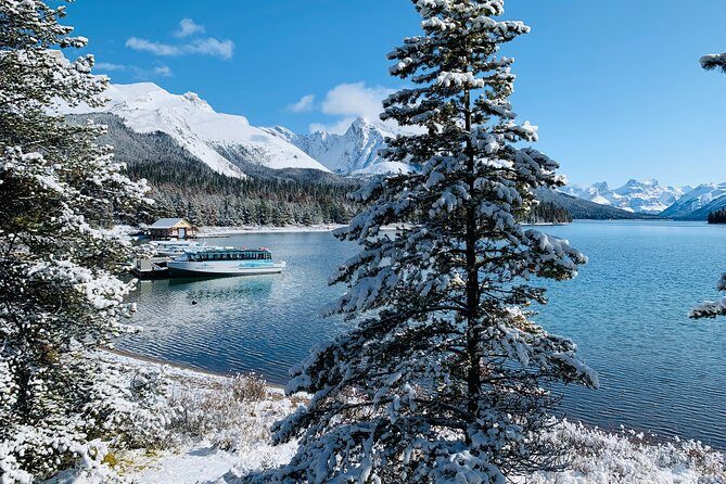 Banff (Canmore) to Calgary Public Shuttle - Authentic Insights from Travelers