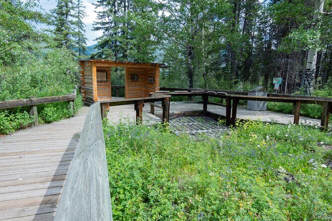 Banff Cave & Hot Springs Audio Walking Tour (Not a Ticket) - Authentic Insights from Reviews