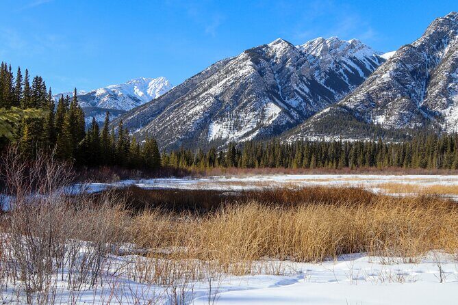 Banff Cave & Hot Springs Audio Walking Tour (Not a Ticket) - FAQ