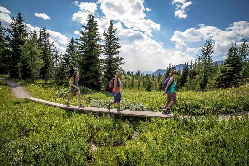 Banff: Edible and Medicinal Plants Nature Walk - Key Points
