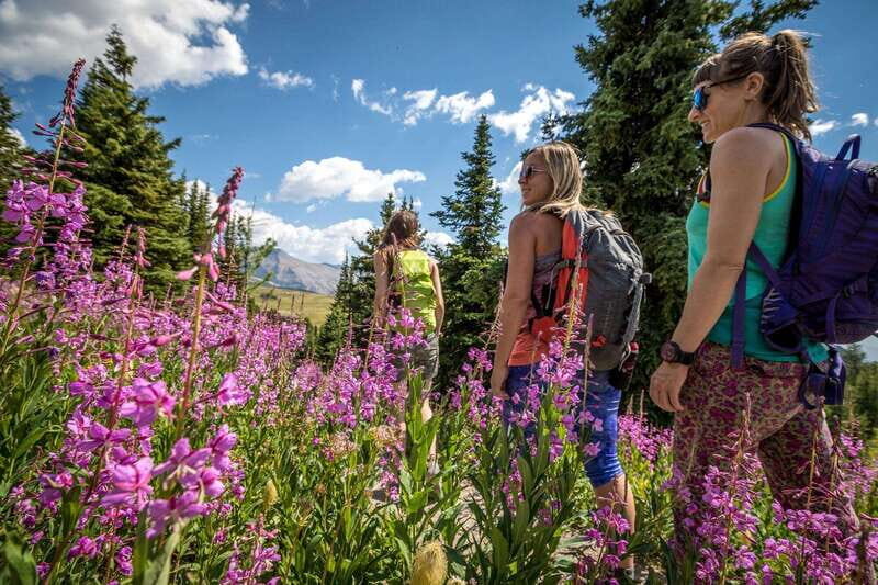 Banff: Edible and Medicinal Plants Nature Walk - Who Should Consider This Tour?