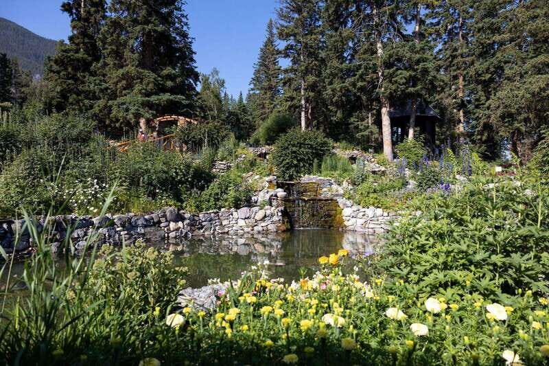 Banff: Edible and Medicinal Plants Nature Walk - FAQ