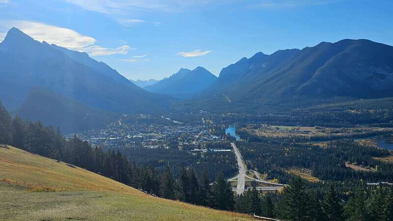 Banff: Evening Wildlife Safari Guided Tour - What the Tour Offers