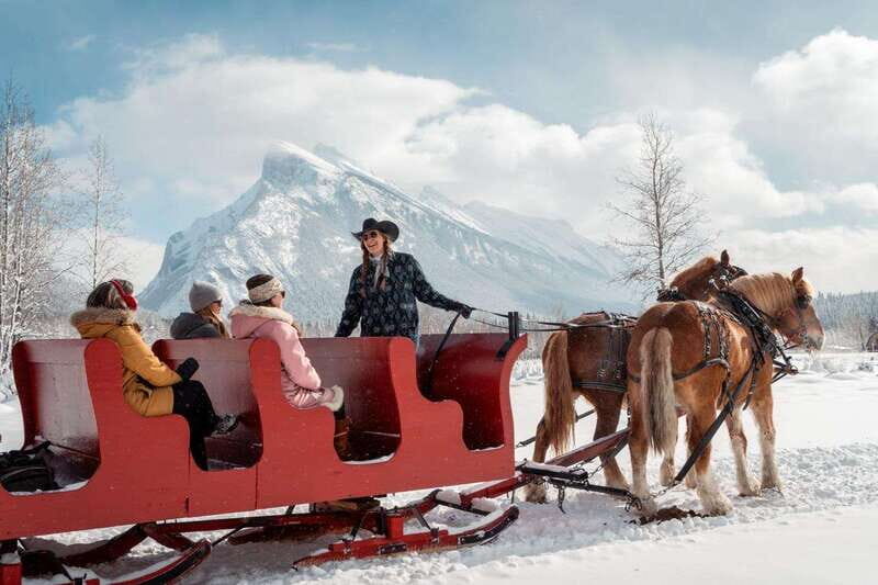Banff: Family Friendly Horse-Drawn Sleigh Ride - Key Points