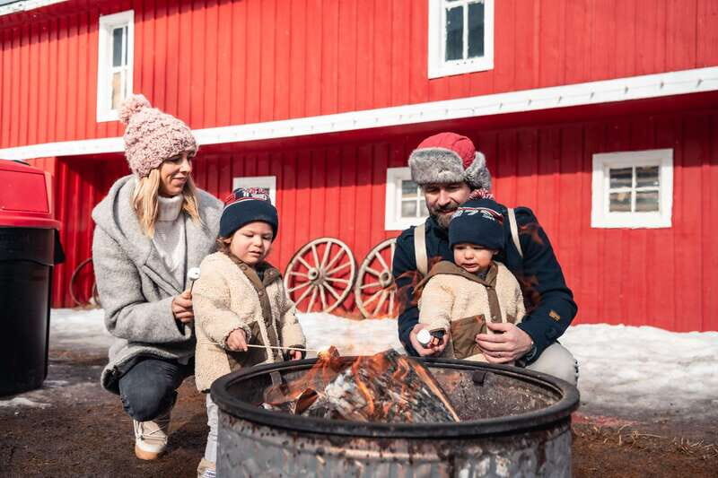 Banff: Family Friendly Horse-Drawn Sleigh Ride - Introduction: What to Expect from the Banff Horse-Drawn Sleigh Ride