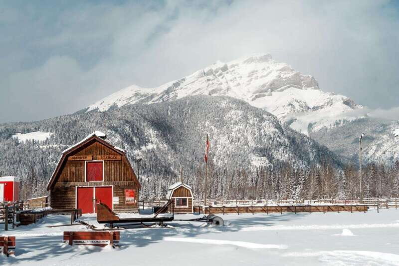 Banff: Family Friendly Horse-Drawn Sleigh Ride - The Itinerary Breakdown
