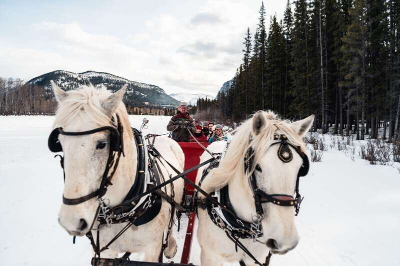 Banff: Family Friendly Horse-Drawn Sleigh Ride - Authenticity and Value