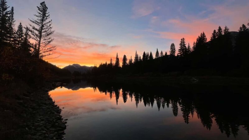 Banff: Grizzly Bear & Nature Walk & Hidden Gem Sunset Tour - Key Points