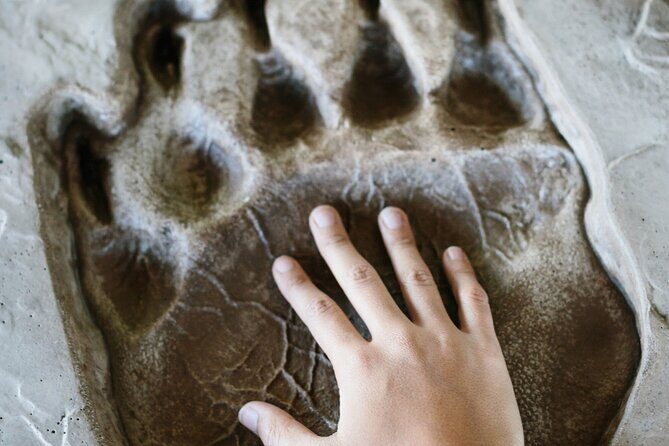 Banff History Tour and Private Museum Tours - Entry Included - Who Will Love This Tour?