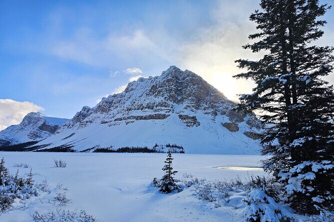 Banff, Icefield Pkwy Full Day Winter Wonderland Private Tour - What Makes This Tour Stand Out