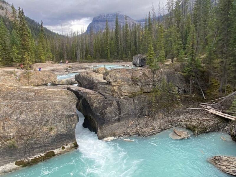 Banff: Lake Louise, Emerald Lake, and Johnston Canyon Tour - Exploring the Banff: Lake Louise, Emerald Lake, and Johnston Canyon Tour
