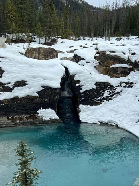 Banff: Lake Louise, Emerald Lake, and Johnston Canyon Tour - Authentic Experiences and Traveler Insights