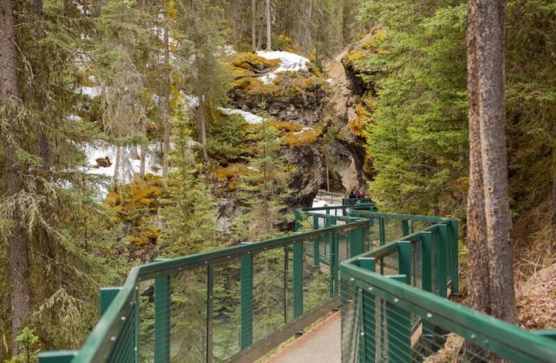 Banff, Lake Louise, Johnston Canyon, Vermilion Lake Day Trip - An In-Depth Look at the Tour Experience