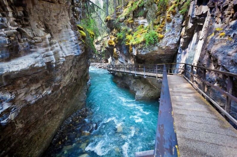 Banff : Lake Louise, Moraine, Emerald & Johnston Canyon tour - The Guide: Knowledge and Charm Matter