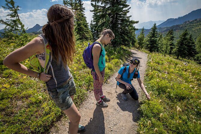 BANFF Medicinal and Edible Plants Nature Walk - 2 Hours - Key Points: