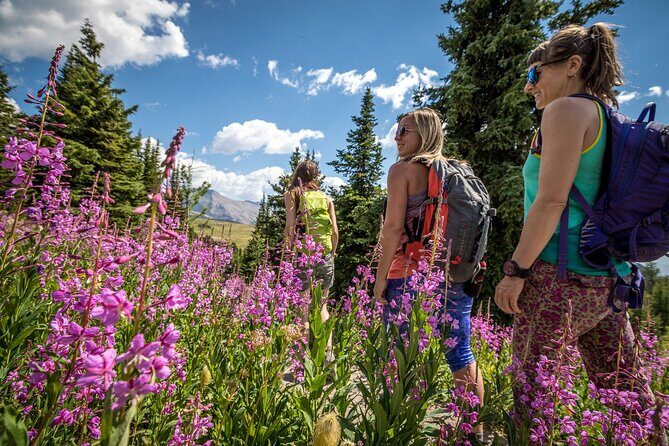 BANFF Medicinal and Edible Plants Nature Walk - 2 Hours - The Logistics: What You Need to Know