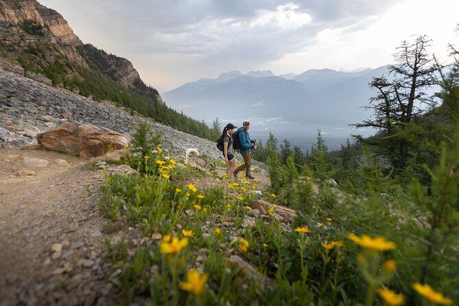 BANFF Medicinal and Edible Plants Nature Walk - 2 Hours - Frequently Asked Questions