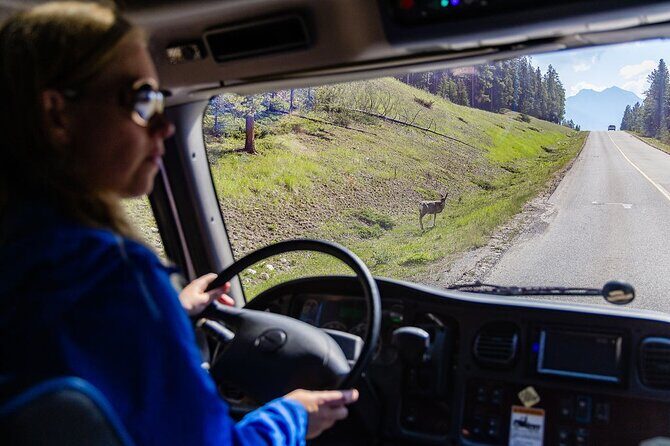 Banff Morning Tour Scenic Highlights and Gondola Ride - How Does the Price Reflect Value?