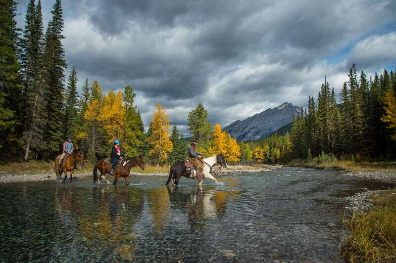 Banff National Park: 1-Hour Spray River Horseback Ride - The Itinerary: What You Can Expect from the Ride