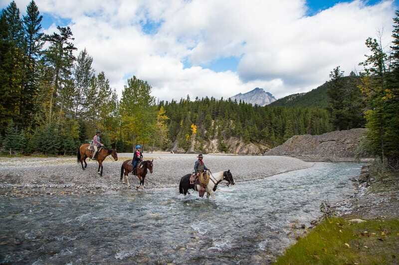 Banff National Park: 1-Hour Spray River Horseback Ride - Review Authenticity: What Past Riders Say
