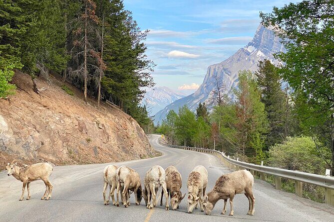 Banff National Park Exclusive Small Group Tour - The Sum Up