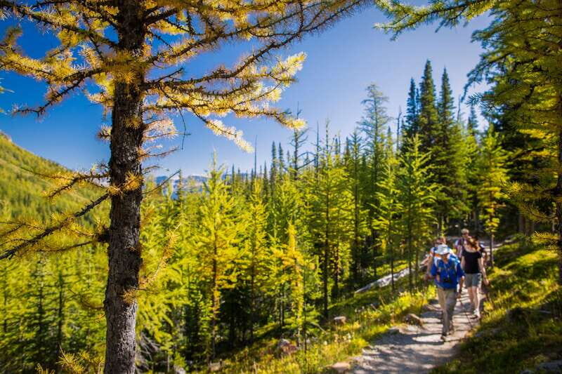 Banff National Park: Guided Signature Hikes with Lunch - The Experience in Detail