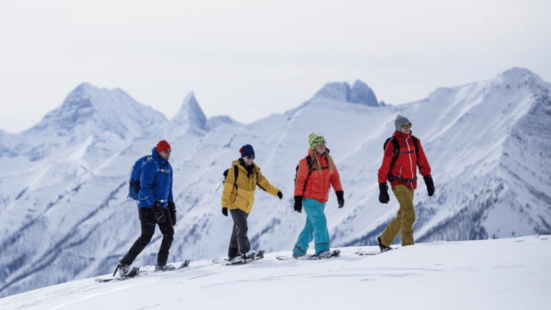 Banff National Park: Sunshine Meadows Snowshoeing Experience - The Sum Up