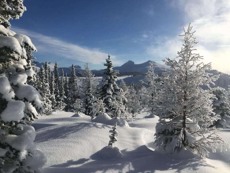 Banff National Park: Sunshine Meadows Snowshoeing Experience - FAQ
