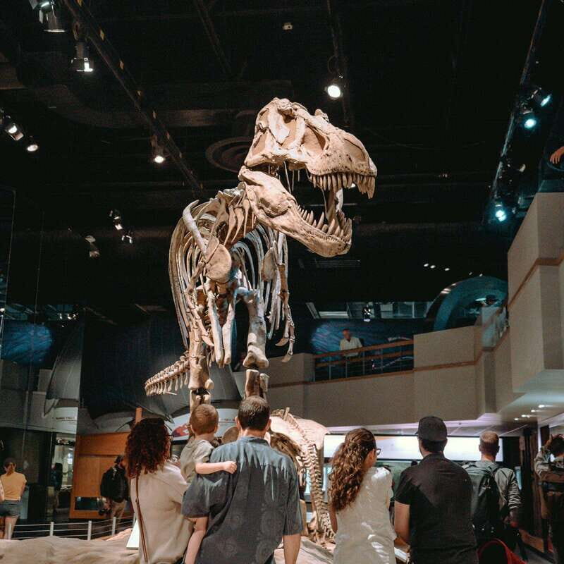 Banff: Private Badlands Tour with Royal Tyrrell Museum - Final Thoughts
