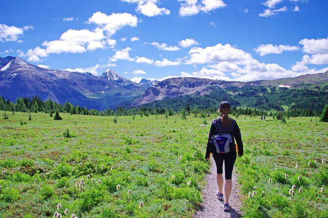 Banff: Private Guided Nature Walk - 2H - Key Points