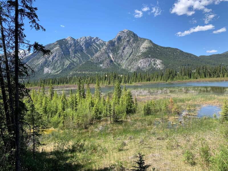 Banff PRIVATE Guided Nature Walk + Transportation - 2.5H - A Closer Look at the Experience