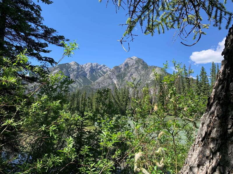 Banff PRIVATE Guided Nature Walk + Transportation - 2.5H - Frequently Asked Questions