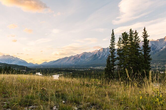 Banff PRIVATE Safari Drive and Custom Nature Walk -4H - A Closer Look at the Experience