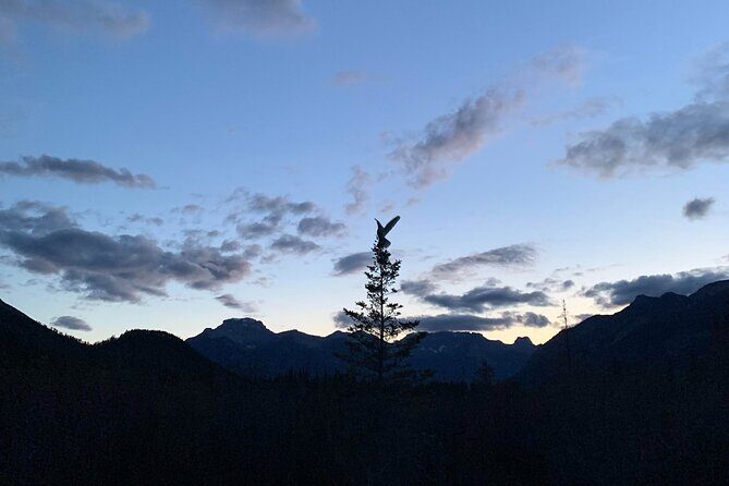 Banff Sunset and Stargazing Tour - 2hr Walking Tour - The Experience and What to Expect