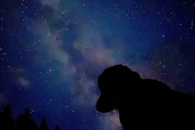 Banff Sunset and Stargazing Tour - 2hr Walking Tour - Final Thoughts
