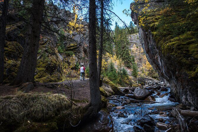 Banff Thermal Water and Hidden Waterfalls Walking Tour - Key Points