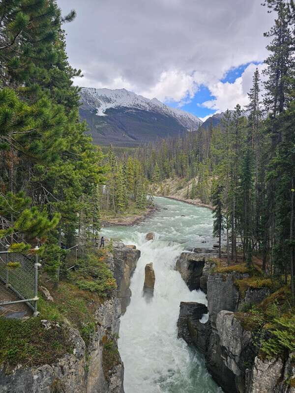 Banff to Jasper One-Way Private Tour sightseeing - Who Should Consider This Tour?