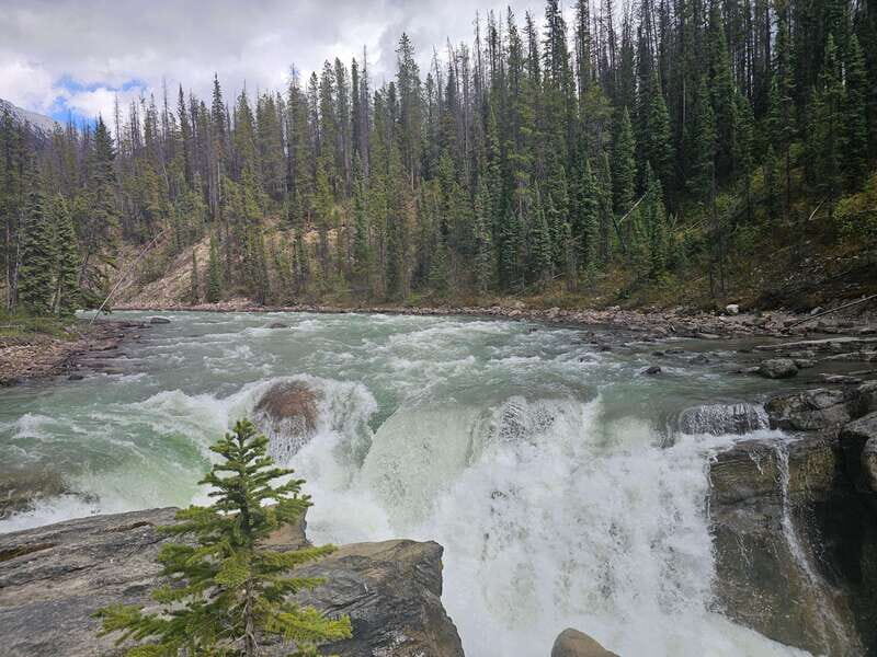 Banff to Jasper One-Way Private Tour sightseeing - FAQ