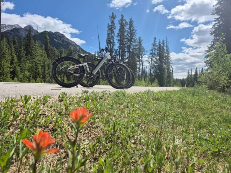 Banff Top Sights E-Fat Bike Tour All Skill Levels - Frequently Asked Questions