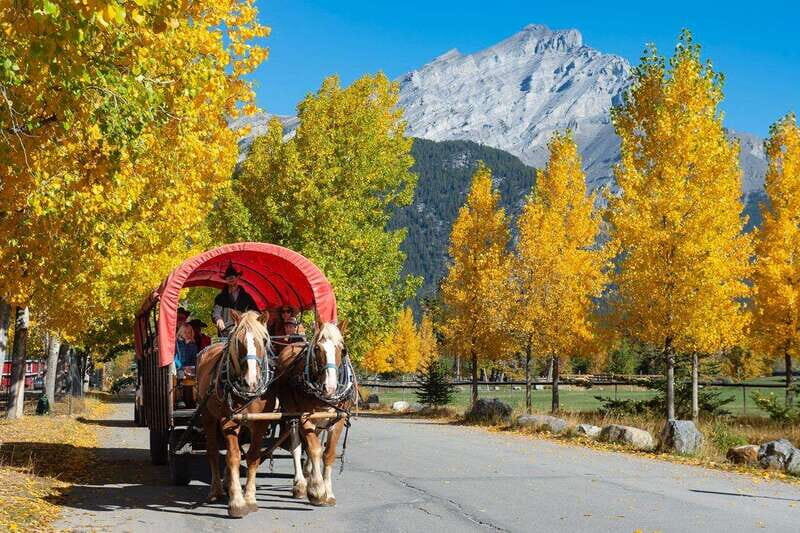 Banff: Wagon Ride with Cowboy Cookout BBQ - Who Will Love This Tour?