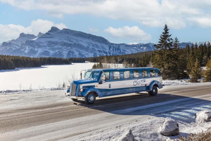 Banff: Winter Tour with Dinner & Nightrise at Banff Gondola - Key Points