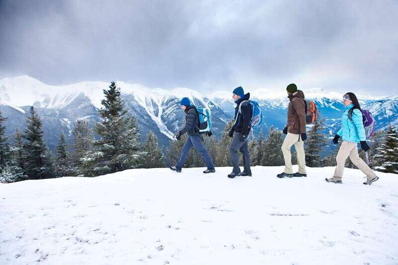 Banff: Winter Wilderness Walk with Wildlife Tracking - 2hrs - Is This Tour Good Value?