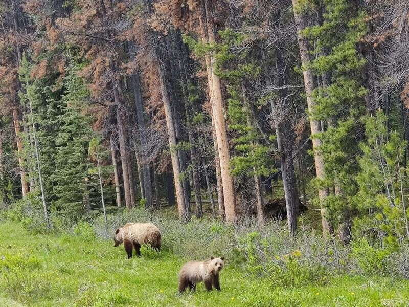 Banff, Yoho, and Jasper 2 Day Private Tour - Exploring the Itinerary in Detail