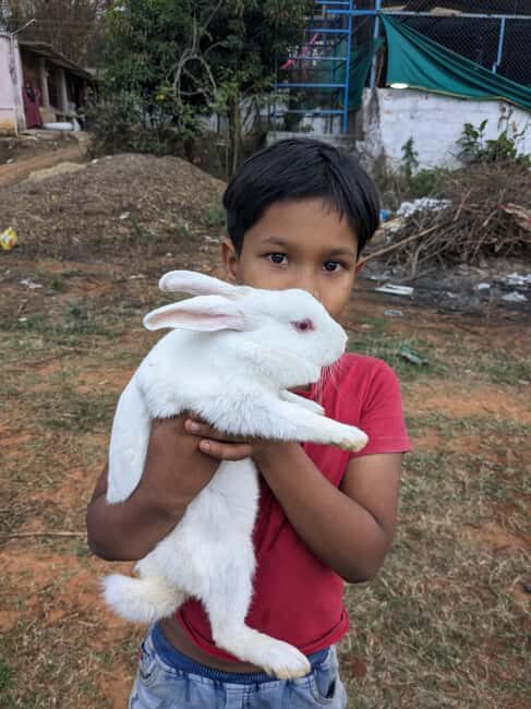 Bangalore: Big Barn Farm Visit with Animal Interactions - Key Points