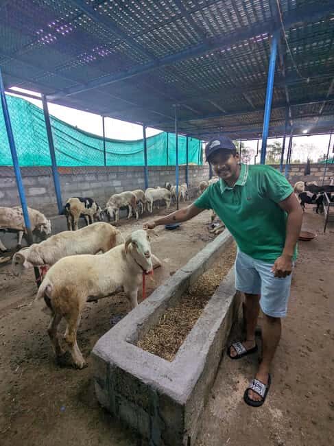 Bangalore: Big Barn Farm Visit with Animal Interactions - A Detailed Look at the Itinerary