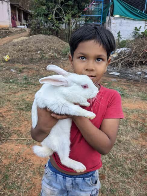 Bangalore: Big Barn Farm Visit with Animal Interactions - FAQ